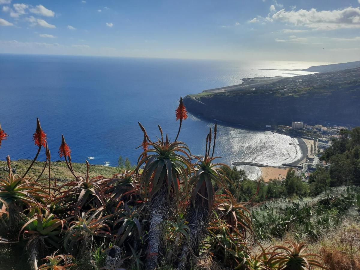 Sunny Beach Machico Apartment By Hr Madeira ภายนอก รูปภาพ